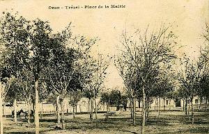 TREZEL 03